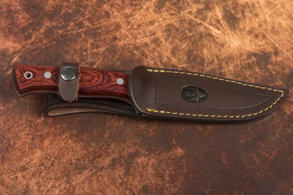 Cuchillo de caza enterizo Muela Pointer con mango de madera prensada roja