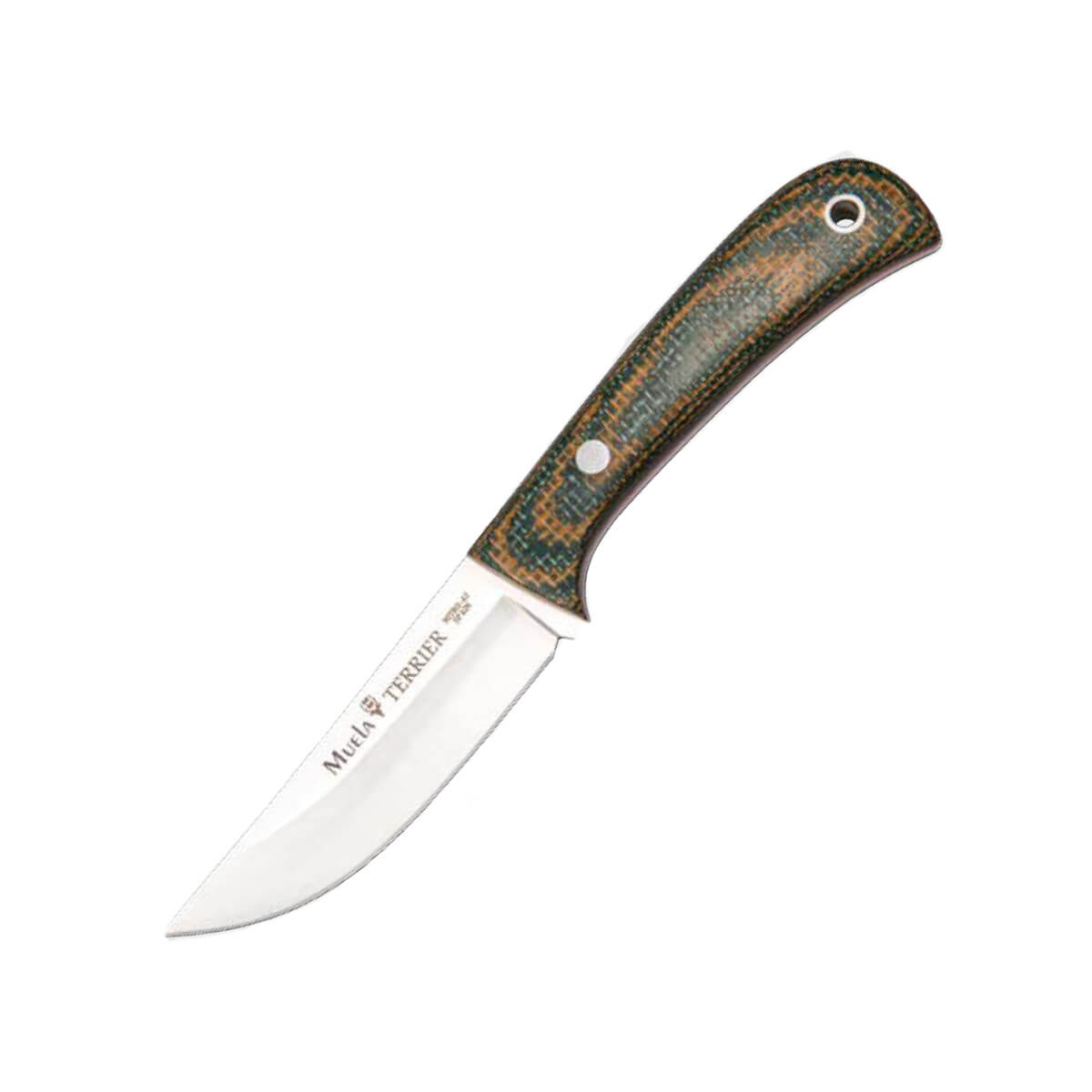 Cuchillo Muela Terrier con cachas de micarta verde-naranja y fund...