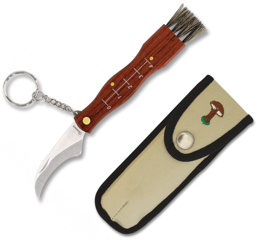 Navaja para setas mini de Albainox presentada en caja con hoja de...