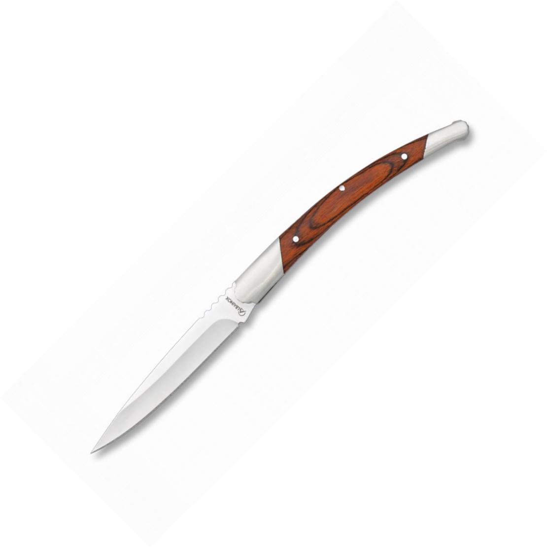 Coltello tascabile Albainox con stamina rossa e manico in acciaio...