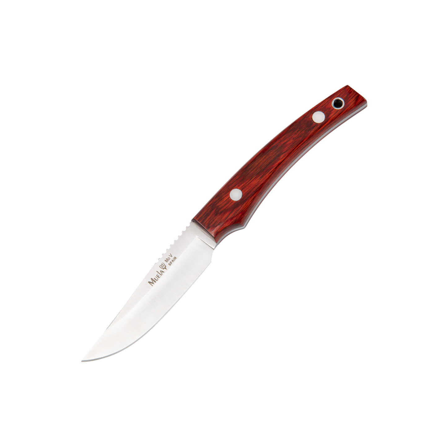 Cuchillo de caza Muela LM-8R con mango de madera prensada coral y...