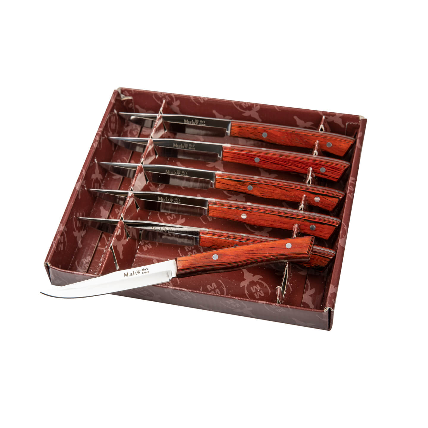 Faca de mesa Muela J-MA-10R com cabo de madeira prensada coral co...