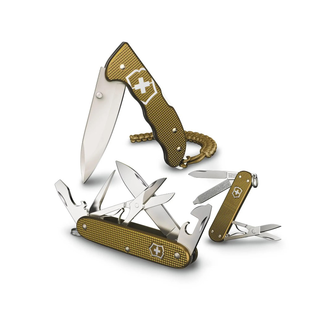 Limitiertes Taschenmesser 2024 Evoke Alox Victorinox braun