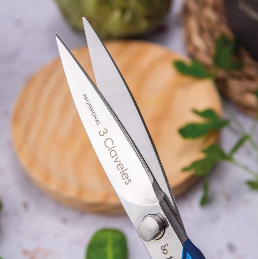 Blaue 8-Zoll-Küchenschere von Master aus Edelstahl mit glänzender Oberfläche