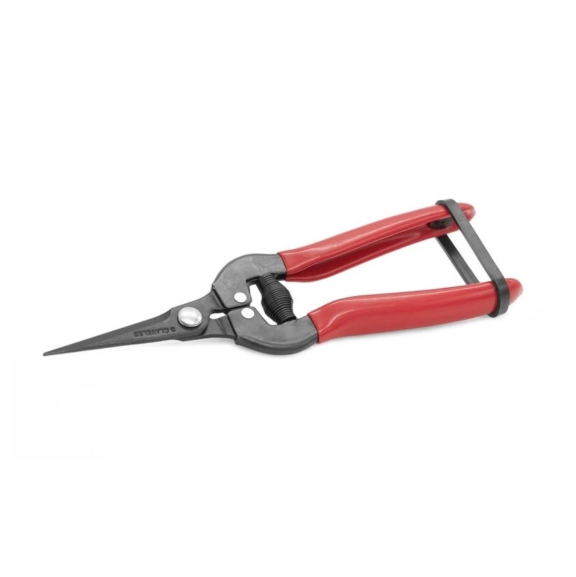 Landwirtschaftliche Traubenreinigungsschere 19 cm 3 Claveles