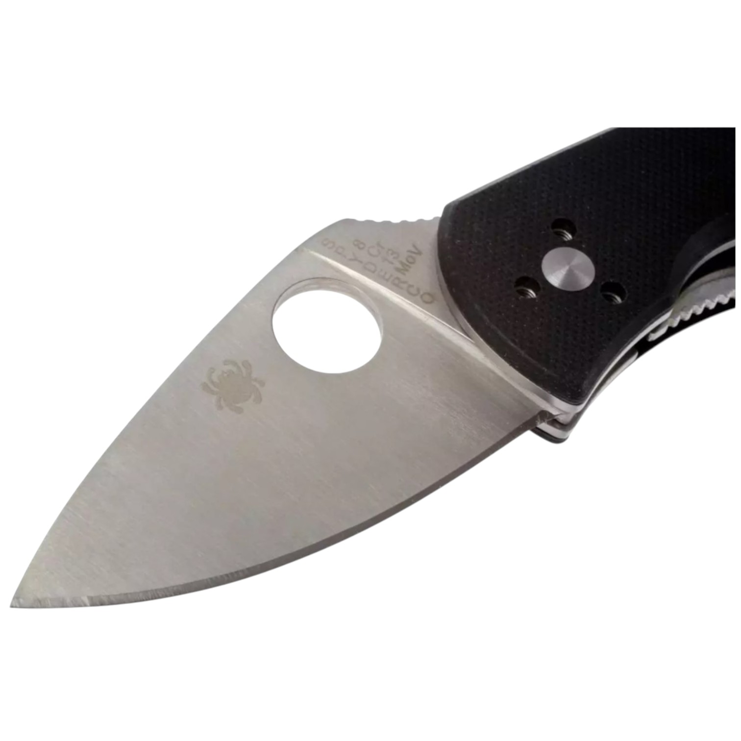 Spyderco Ambitious C148GP, navaja con filo plano con mango de G10 negro y clip