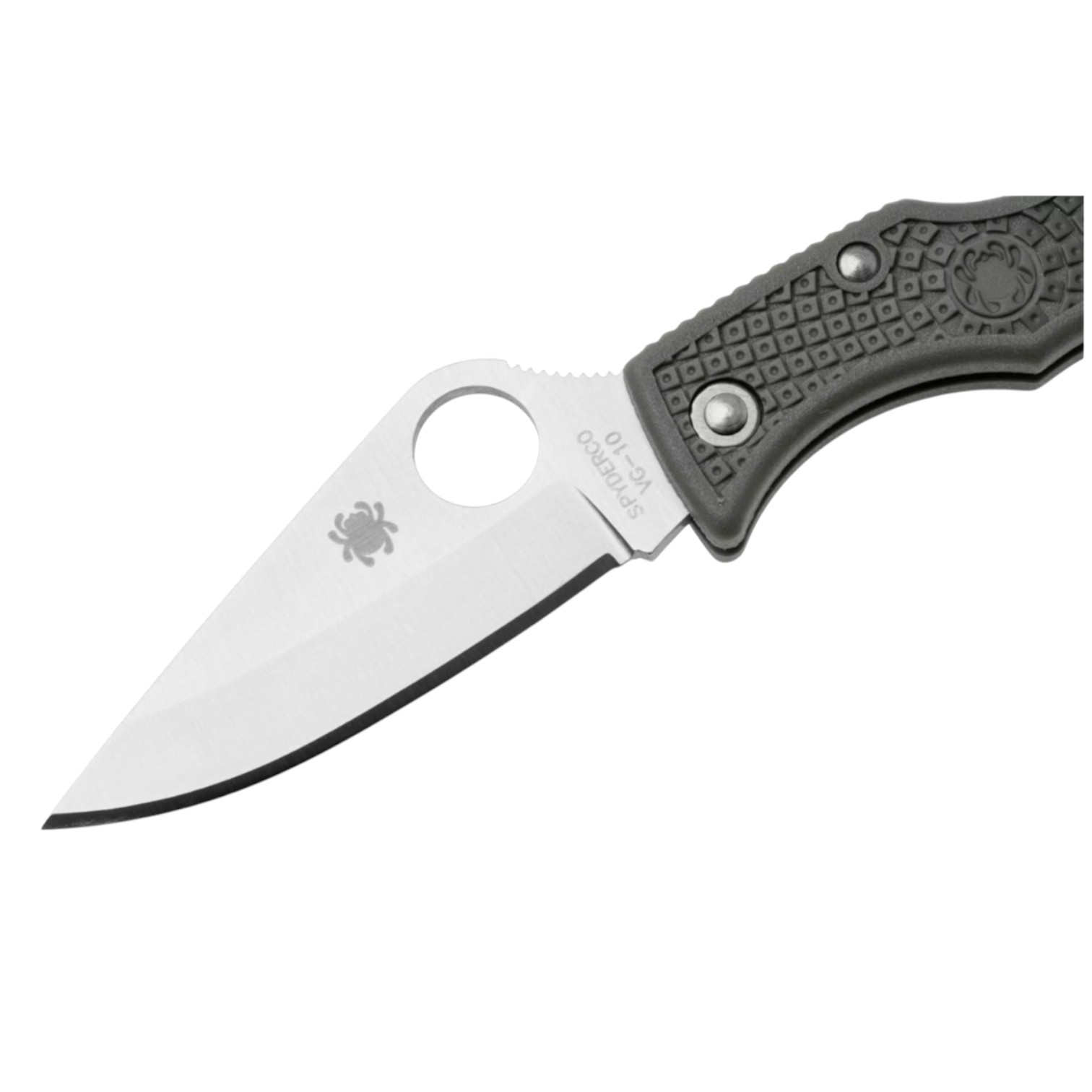 Spyderco Ladybug Foliage Green LFGP3 navaja de bolsillo con hoja de VG10 de 4.9 cm y mango de FRN verde