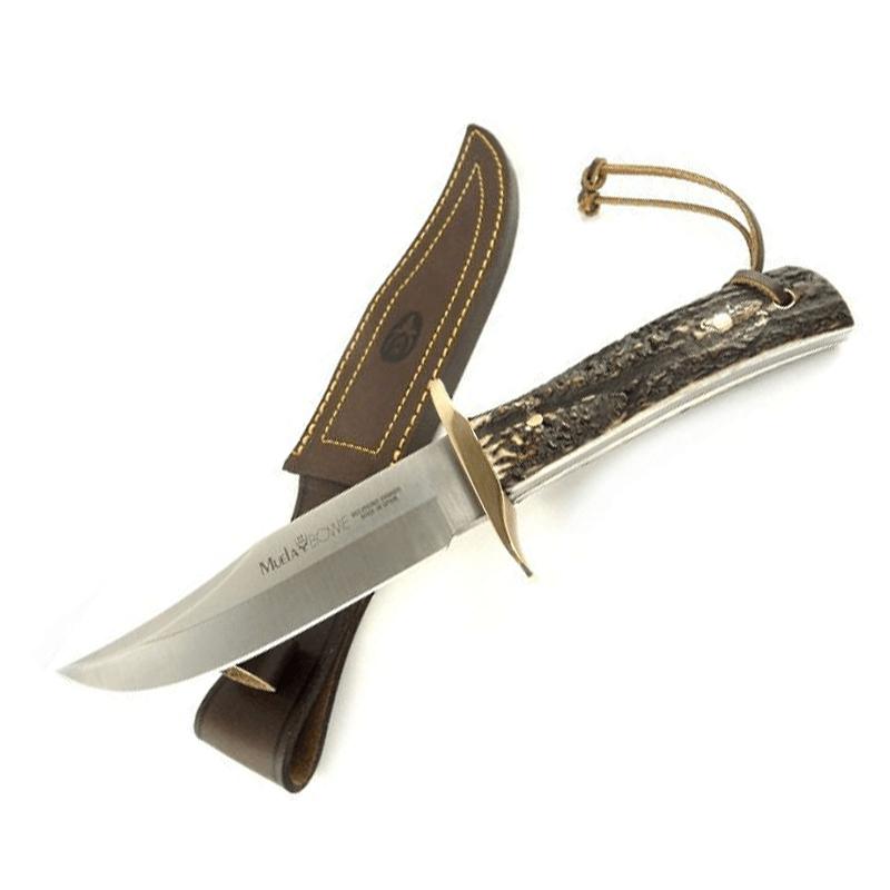 Cuchillo Muela Bowie enterizo de caza con mango de asta de ciervo y guarda de latón, hoja de 16 cm