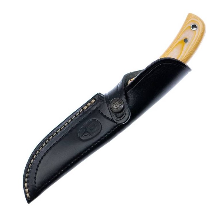 Couteau de chasse Muela Setter-11B avec manche en micarta blanc et lame de 11 cm