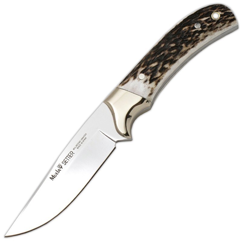 Cuchillo de caza Muela Setter-11A con mango de asta de ciervo y h...