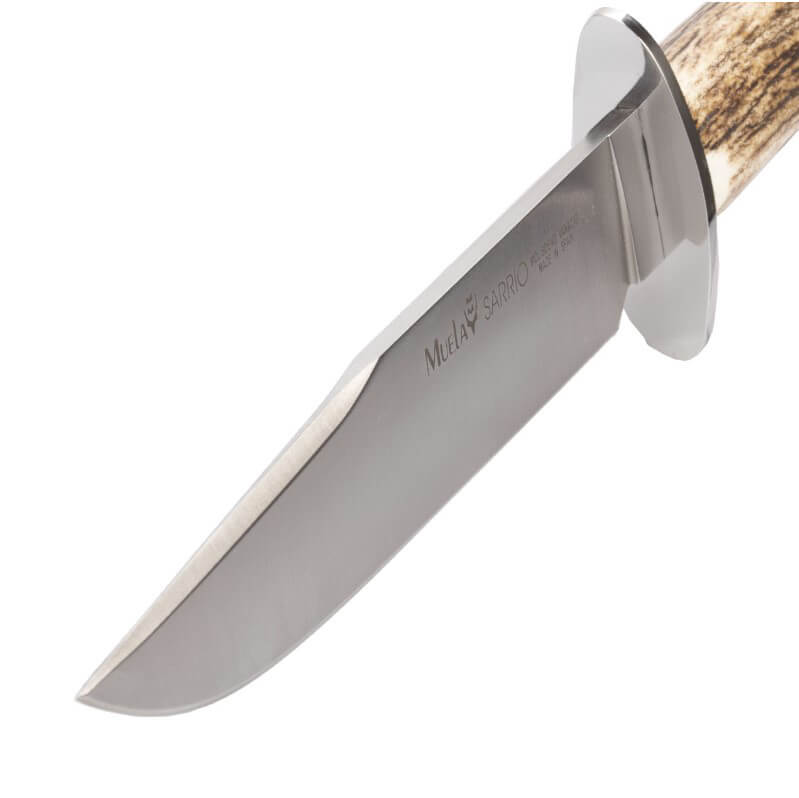 Cuchillo de caza Muela Sarrio-19A con mango de asta de ciervo y hoja de acero Molibdeno Vanadio de 19 cm