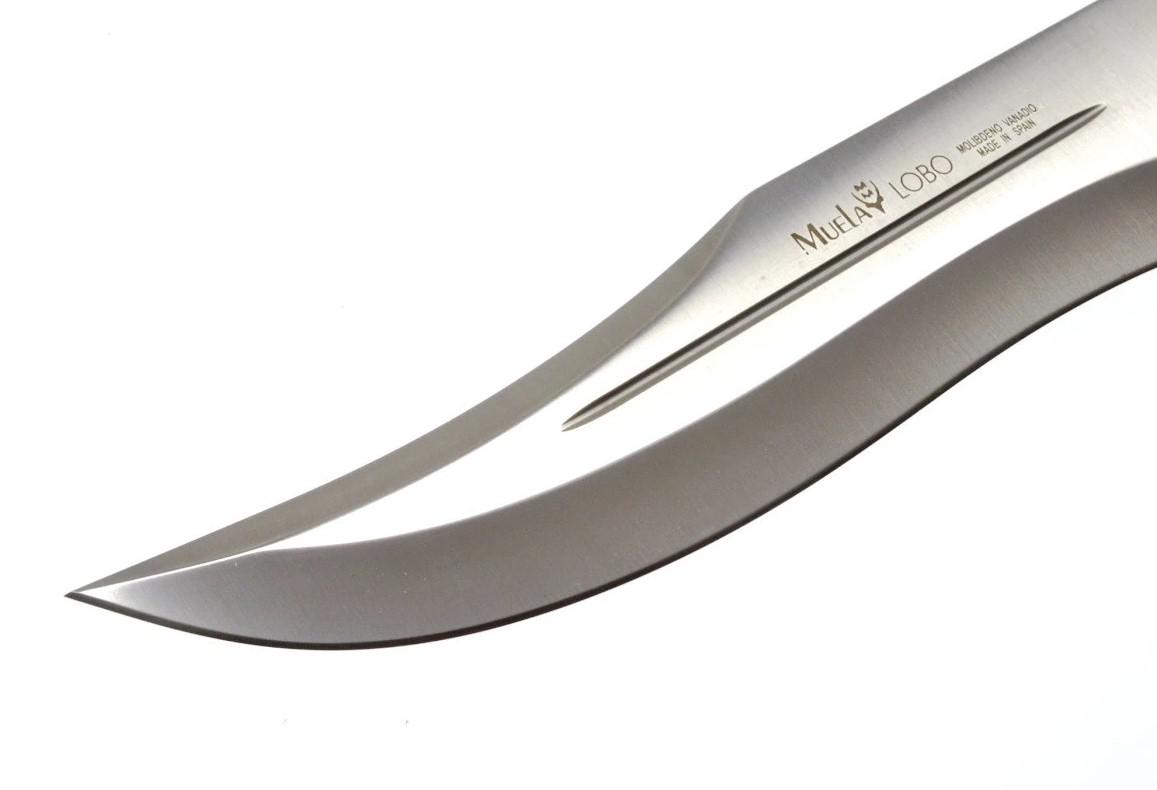 Muela Lobo23S un cuchillo de caza con mango de asta de ciervo con roseta