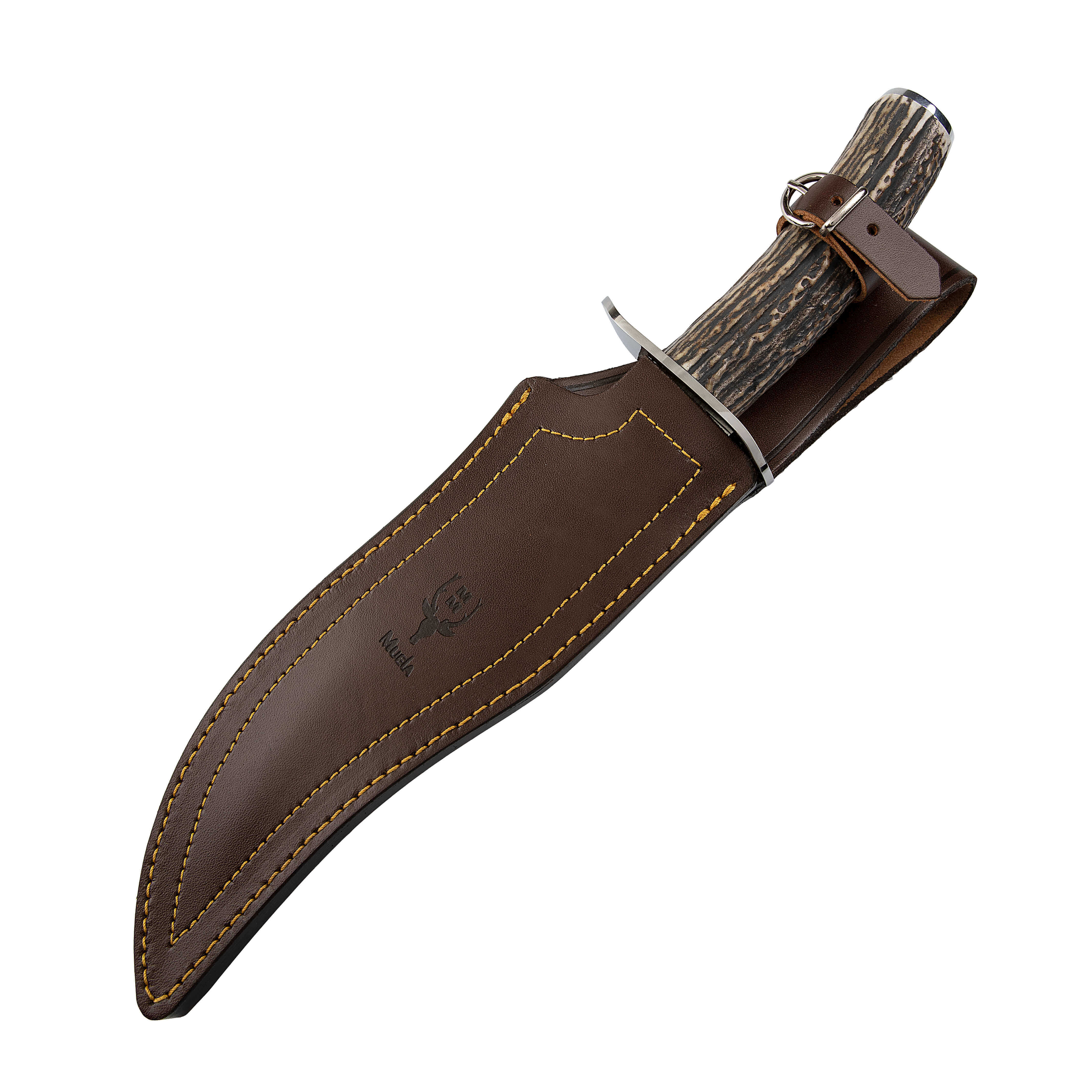 Muela Lobo23A un cuchillo de caza con mango de asta de ciervo y hoja de 23 cm