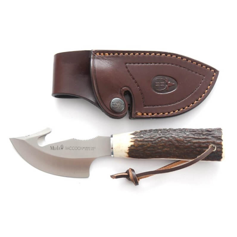 Cuchillo de caza Muela Raccoon-8A con mango de asta de ciervo y hoja de 8 cm