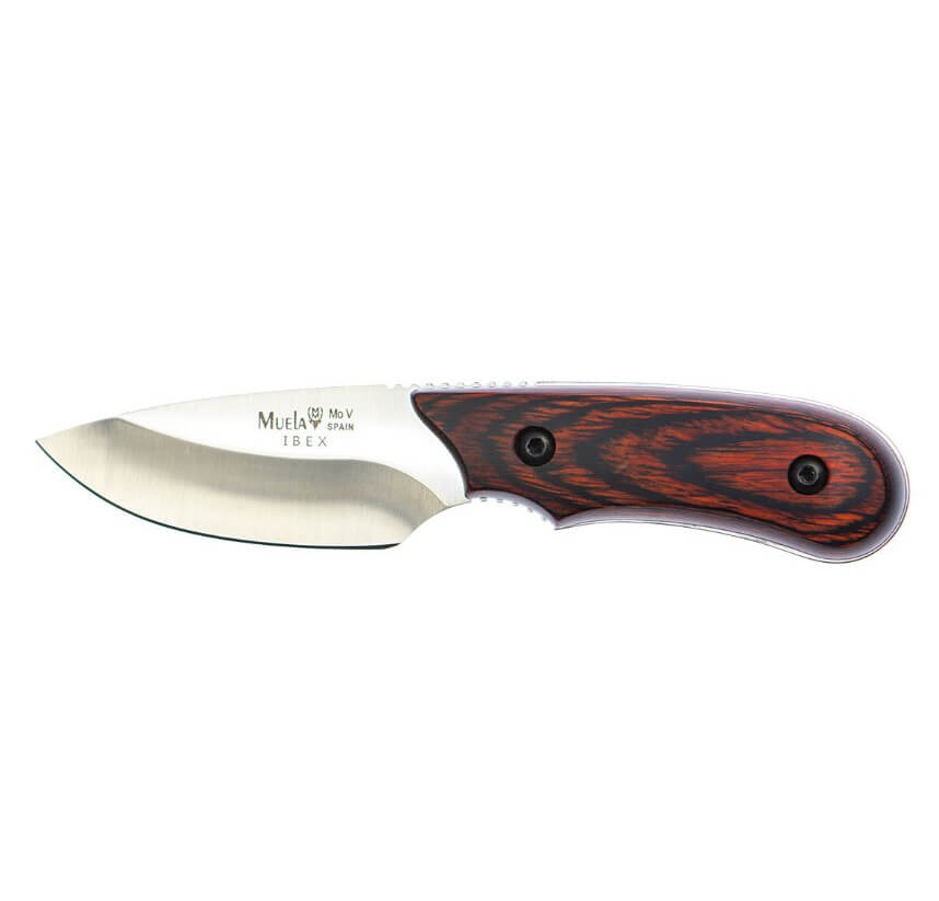 Cuchillo desollador Muela Ibex con mango de estamina y hoja de 7.5 cm