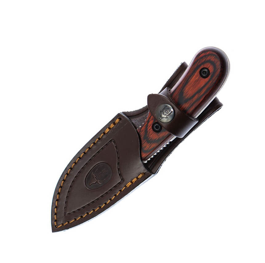 Cuchillo desollador Muela Ibex con mango de estamina y hoja de 7.5 cm