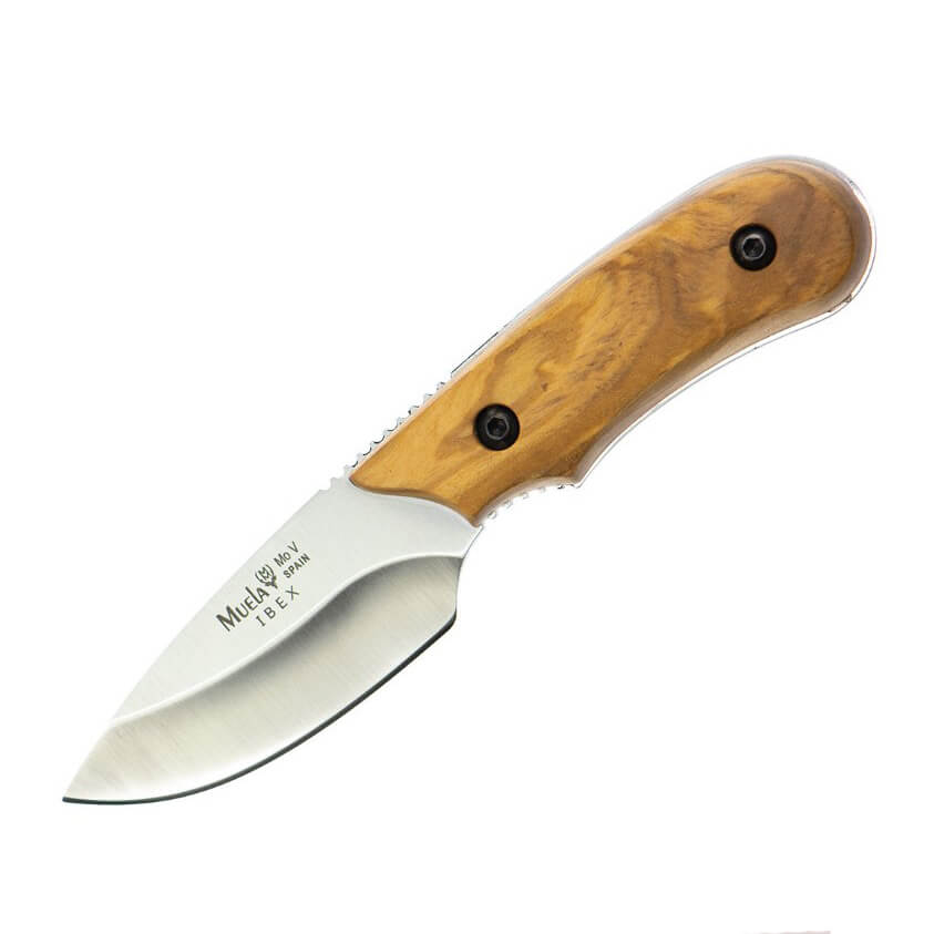 Cuchillo desollador Muela Ibex con mango de madera de olivo y hoj...