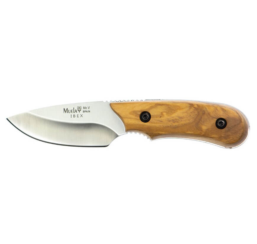 Cuchillo desollador Muela Ibex con mango de madera de olivo y hoja de 7.5 cm