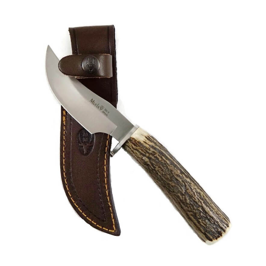 Cuchillo de caza Muela DP-10A con mango de asta de ciervo y hoja de 10 cm