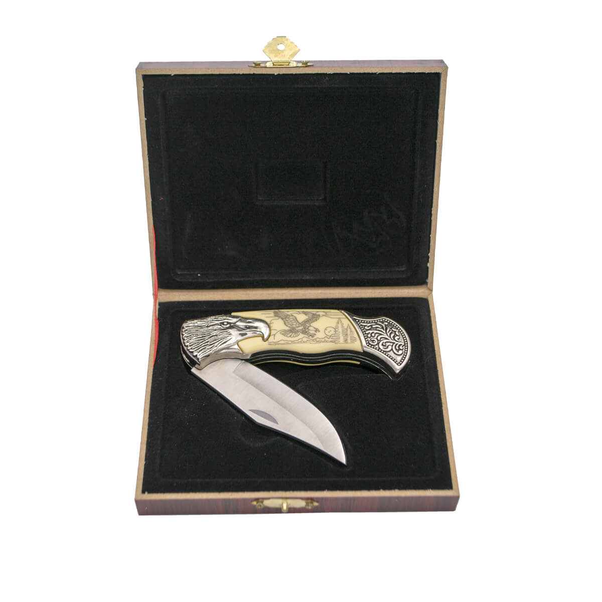 Canivete decorativa com desenho de águia em caixa de apresentação